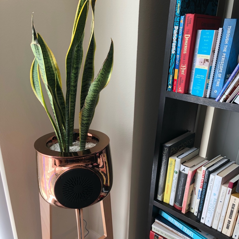 Meet your Posher, Ina